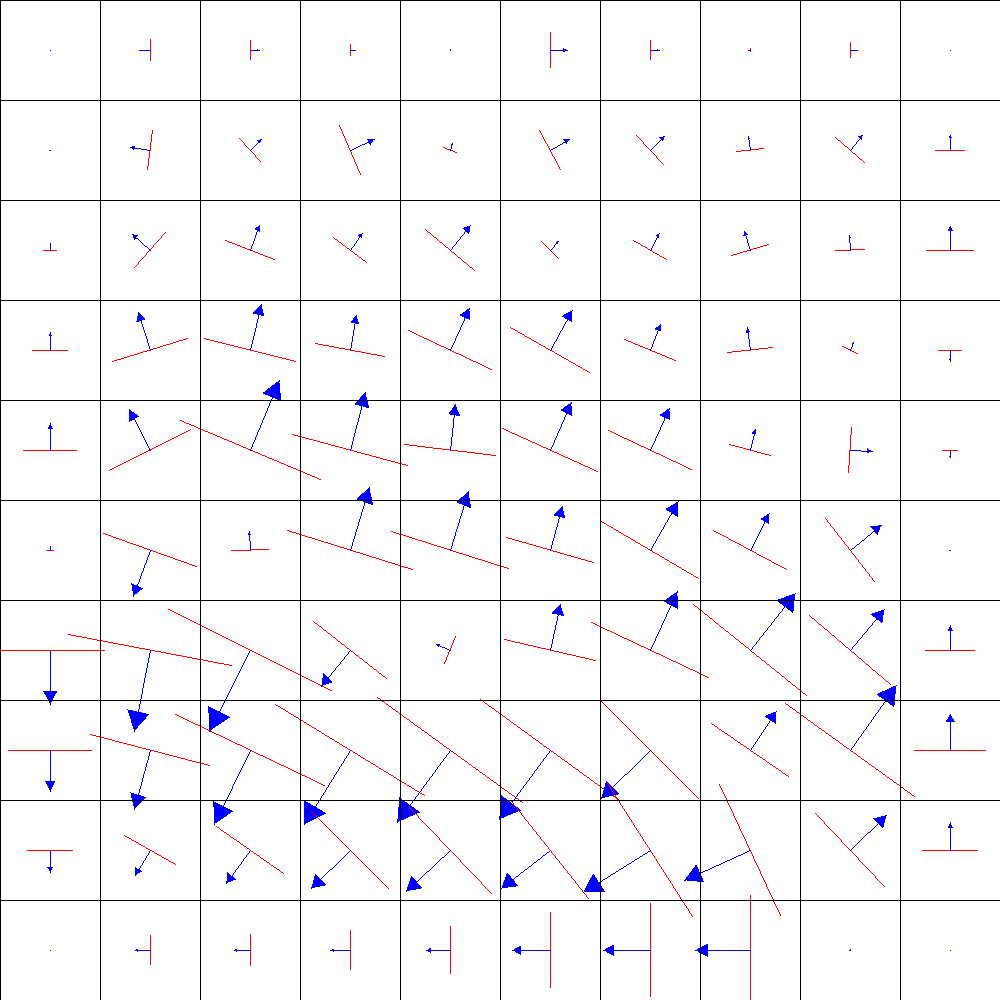 Vector Fields Visualisation