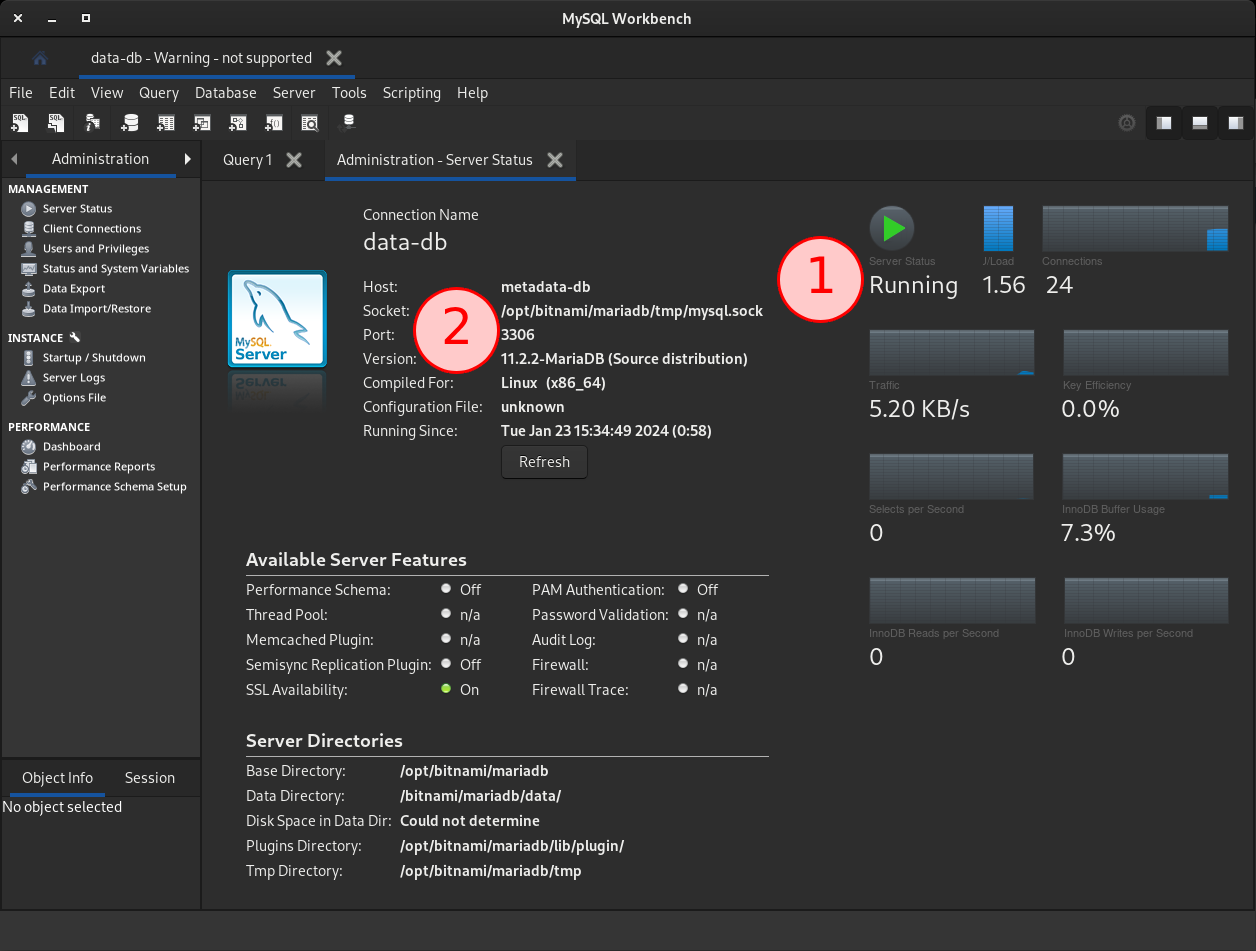 Server status of the Data Database in MySQL Workbench